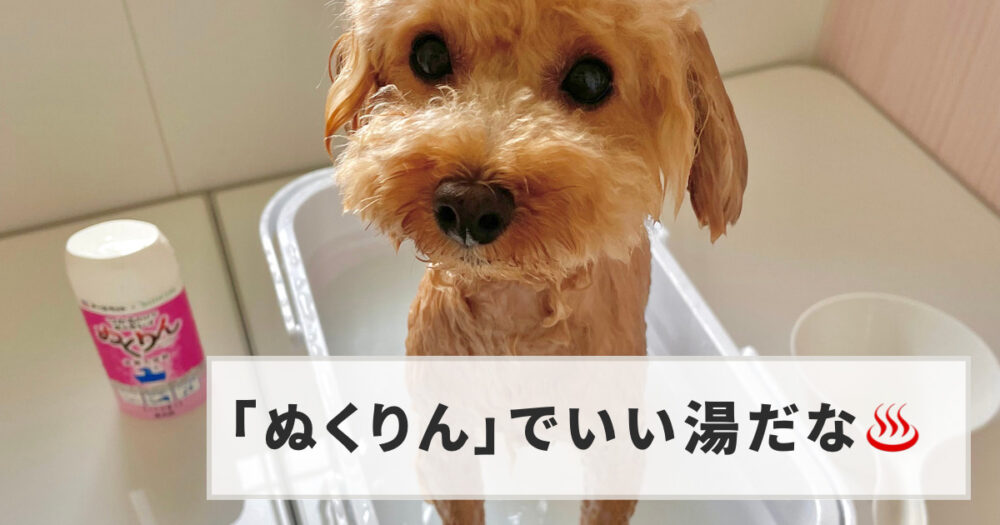 愛犬用炭酸入浴剤『ぬくりん』でいい湯だな。